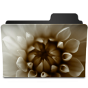 Flower Sepia Icon